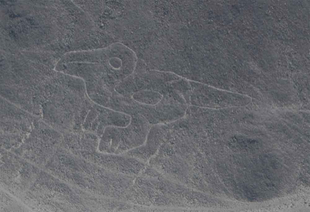 54 - Peru - Nazca, lineas, pato